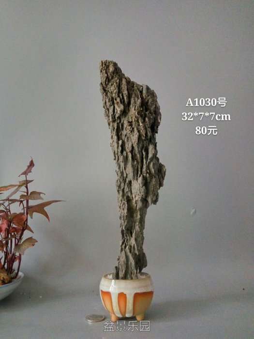 a1030.jpg