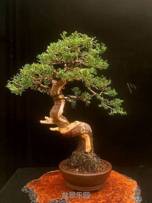 193046grea5tweu50ep85r.jpg
