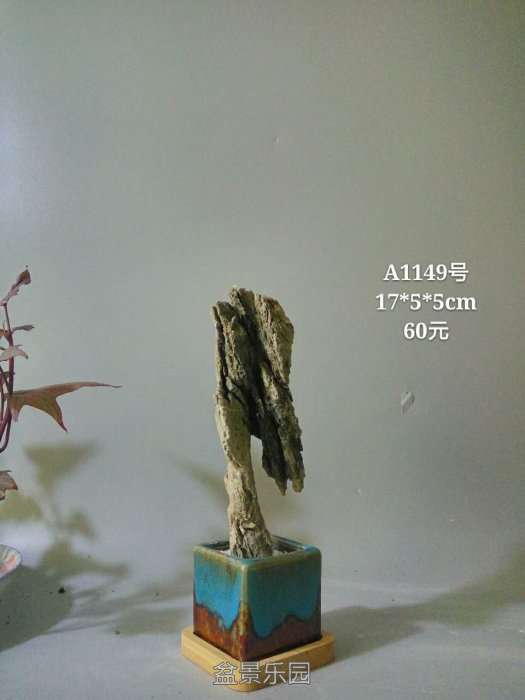a1149.jpg