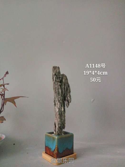 a1148.jpg