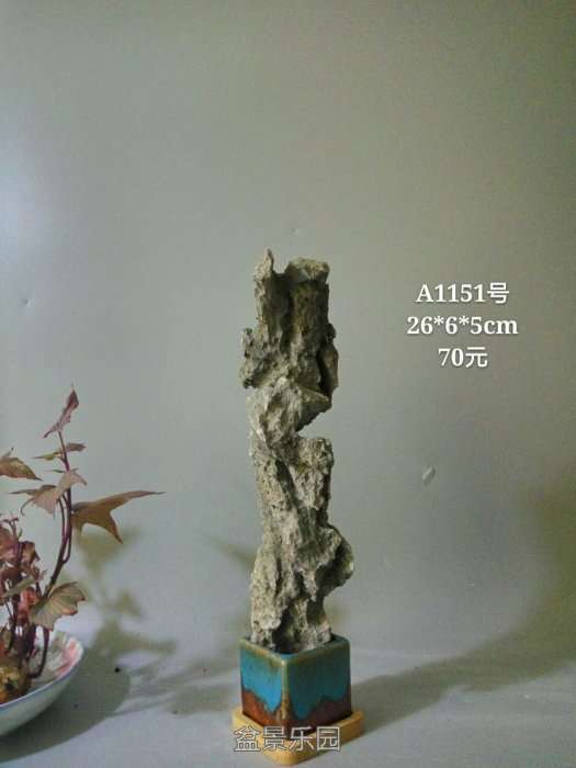 a1151.jpg