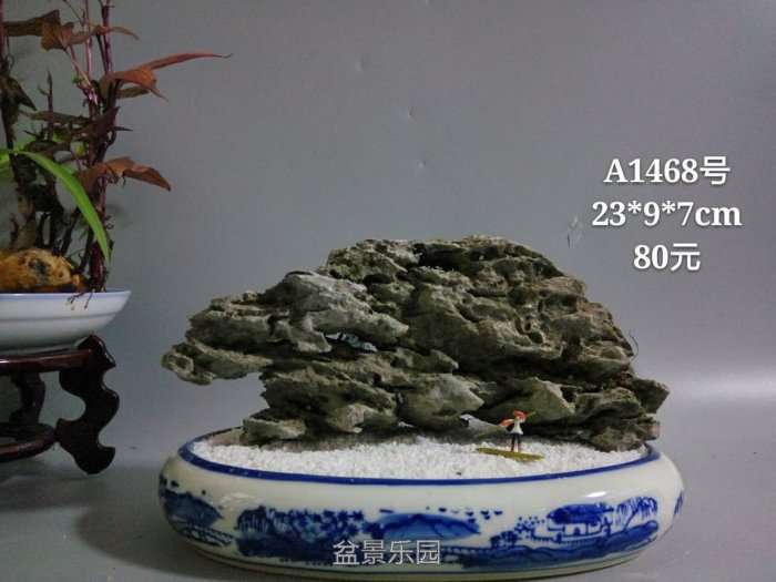 a1468.jpg