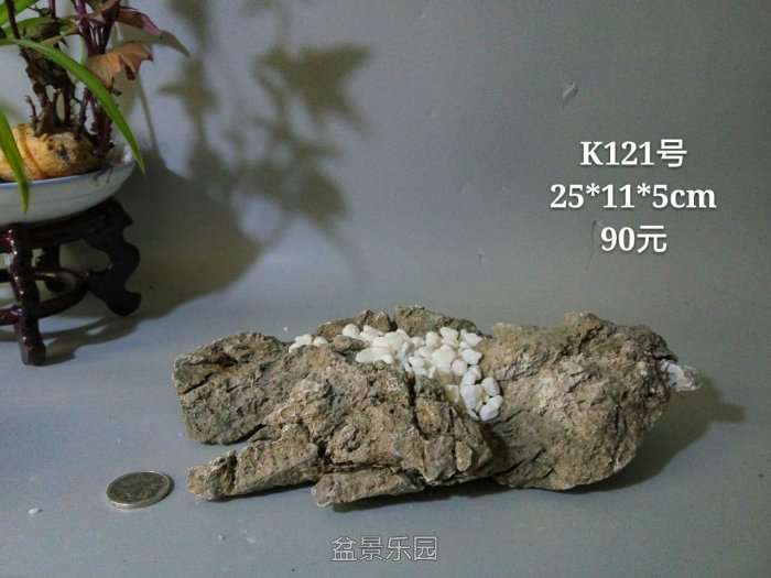 k121.jpg