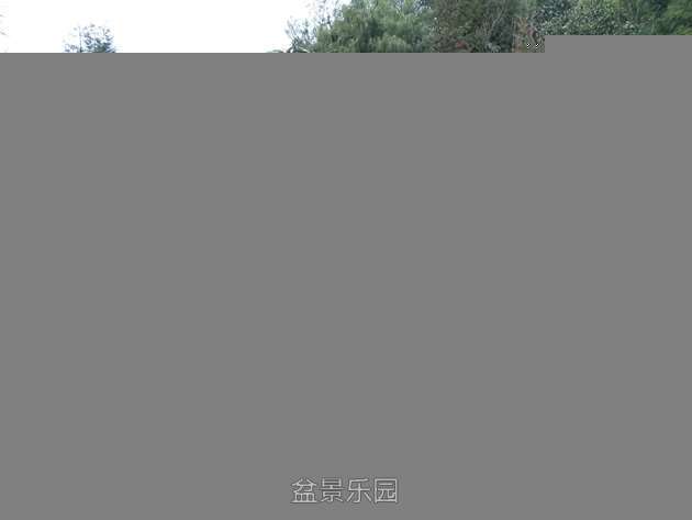 IMG20170326164017.jpg