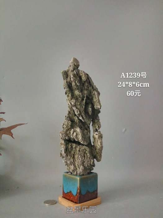 a1239.jpg