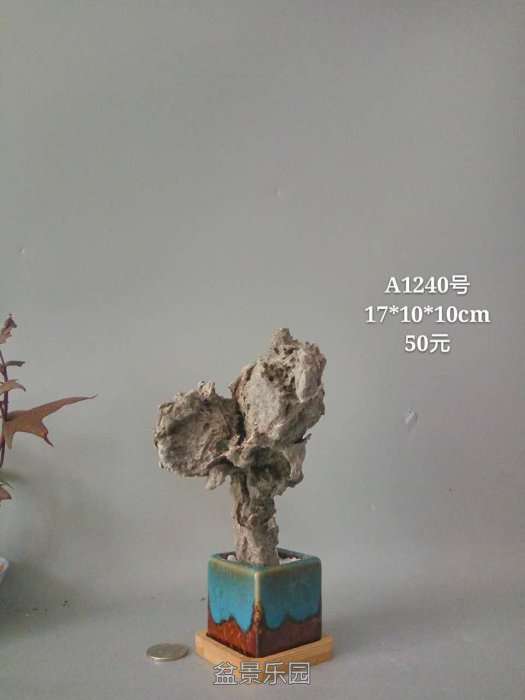 a1240.jpg