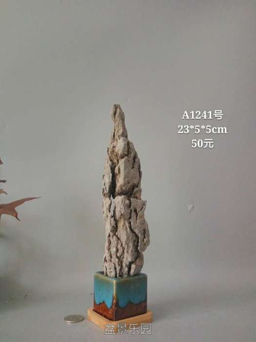 a1241.jpg