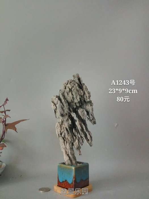 a1243.jpg