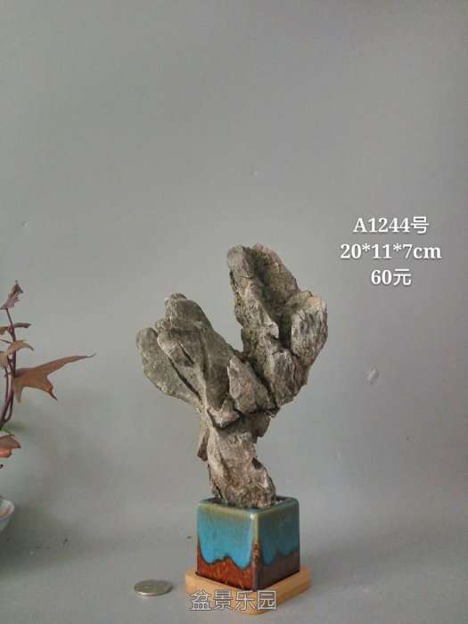 a1244.jpg
