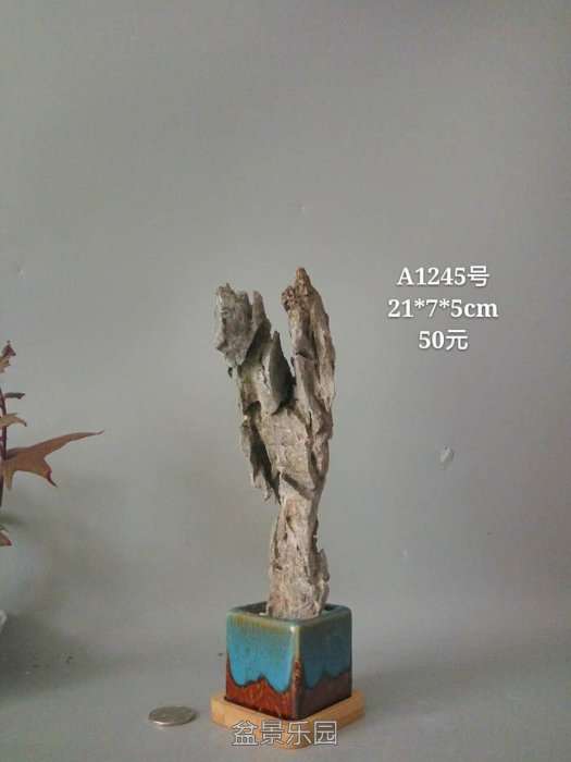 a1245.jpg