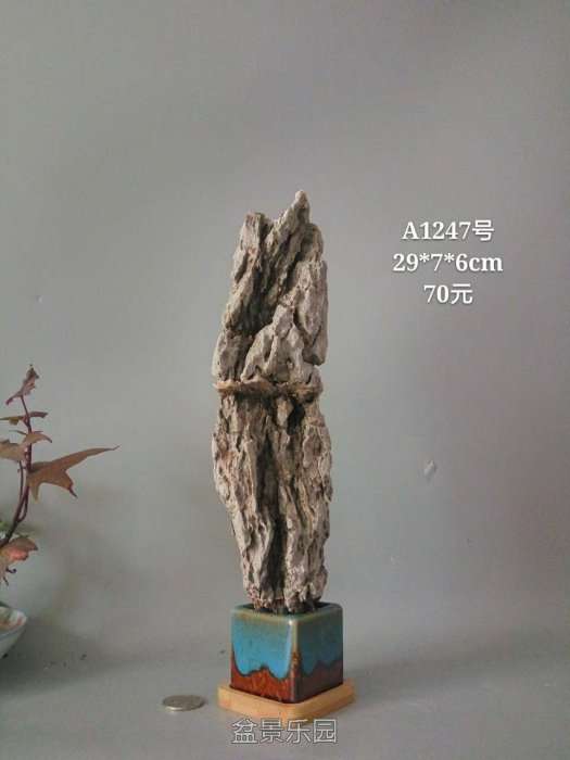 a1247.jpg