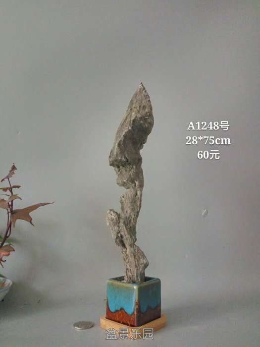 a1248.jpg