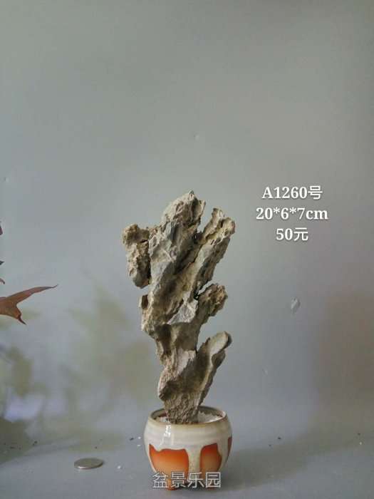 a1260.jpg