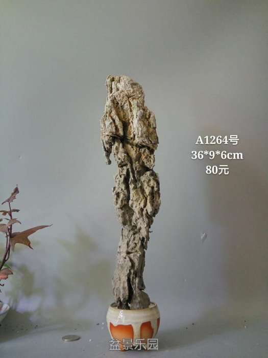 a1264.jpg