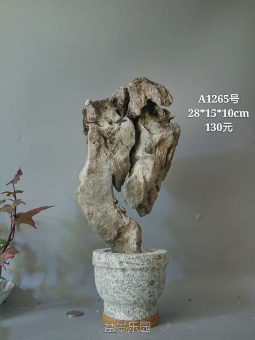 a1265.jpg
