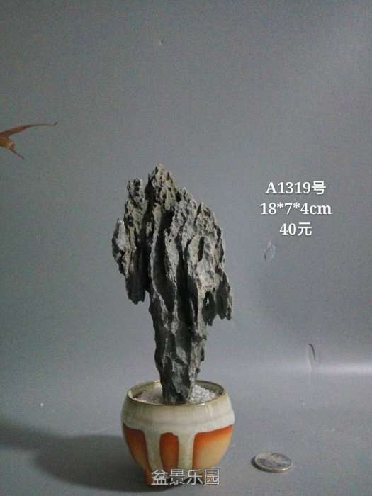 a1319.jpg