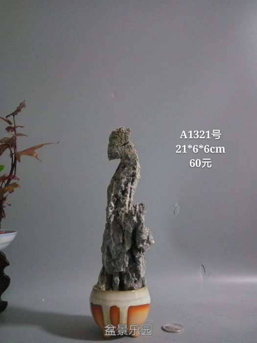 a1321.jpg