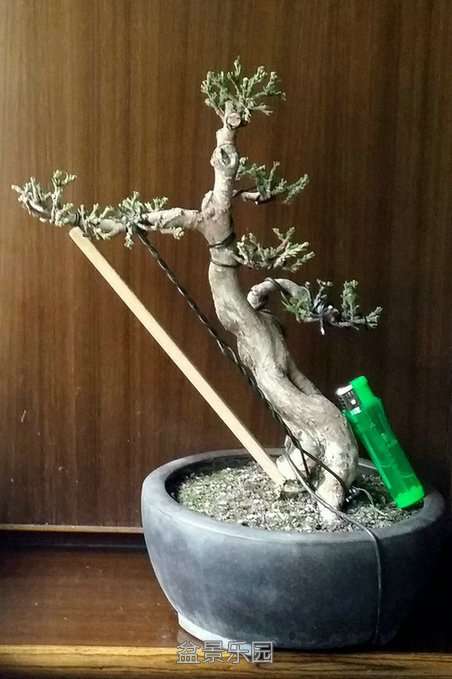 20170405_162858.jpg