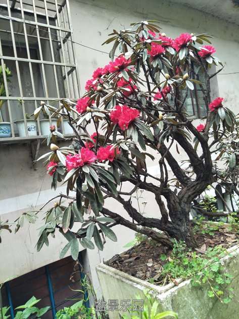 IMG20170401092620.jpg