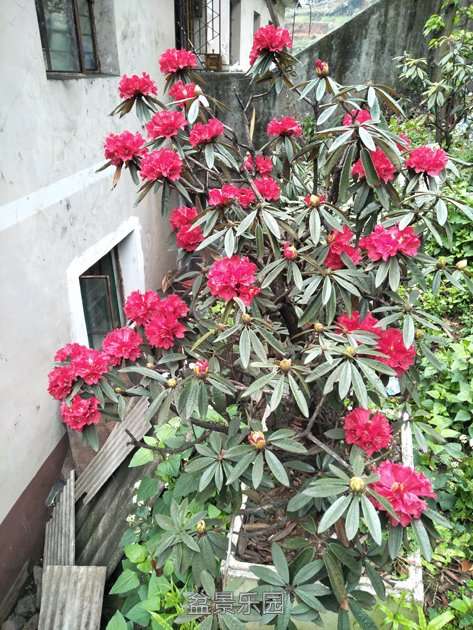 IMG20170401092648.jpg