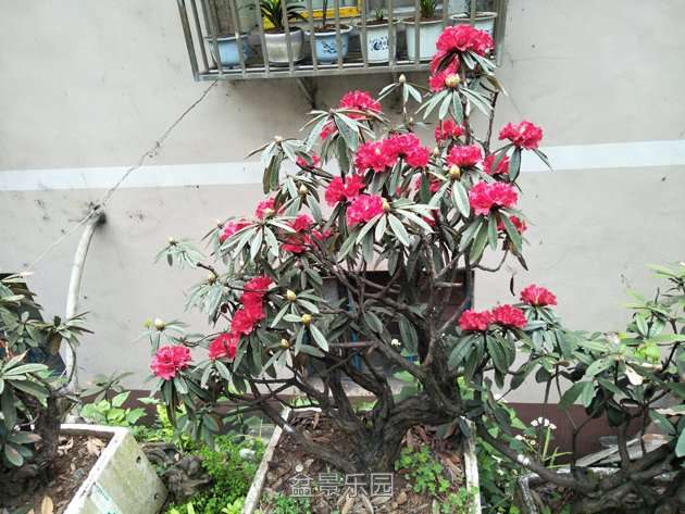 IMG20170401092719.jpg