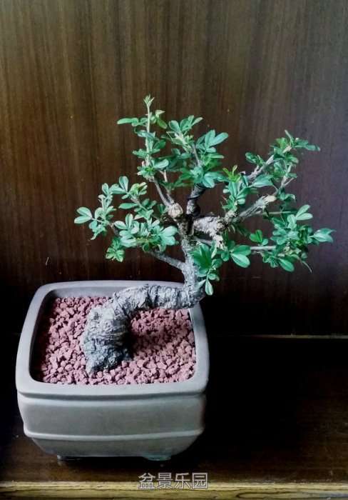 20170410_135334.jpg