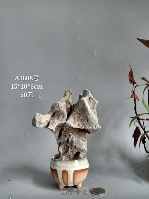 a1608.jpg