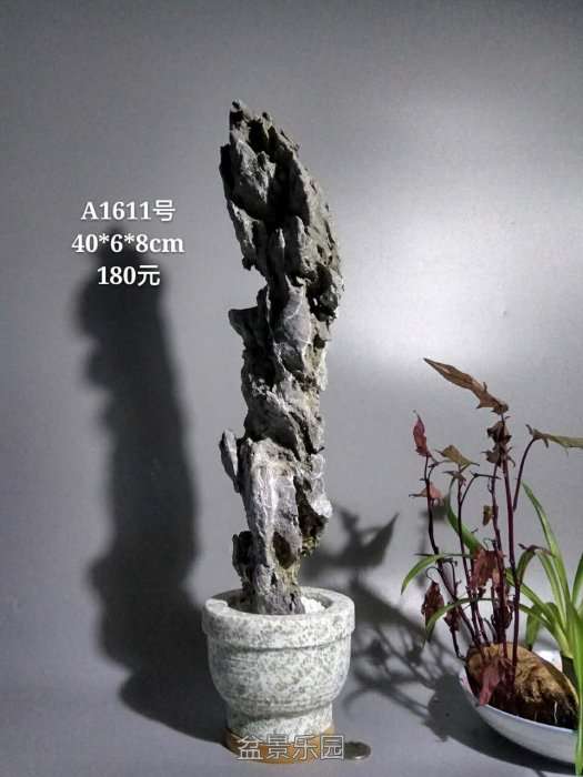 a1611.jpg