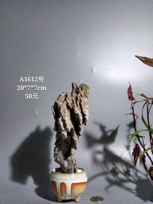 a1612.jpg