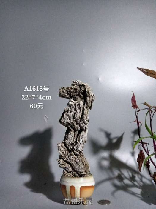 a1613.jpg