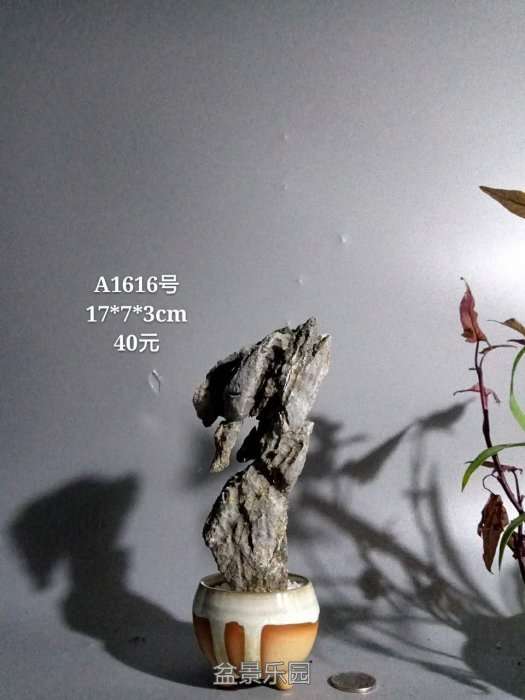 a1616.jpg