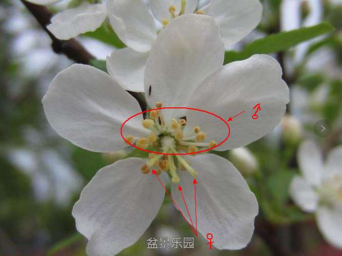 131405hbvddtwjidhh8md1.jpg