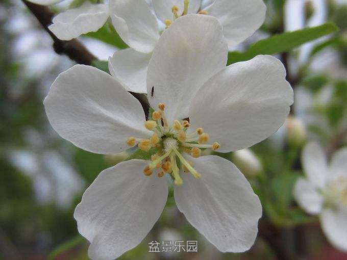 131405i1nsjb2mhc4baec3.jpg