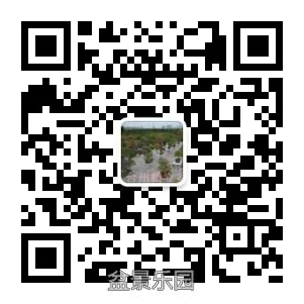 qrcode_for_gh_dd44cb1373d2_344.jpg