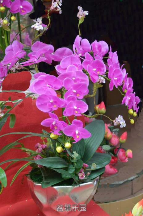 205503awswl60xl60l22ql.jpg