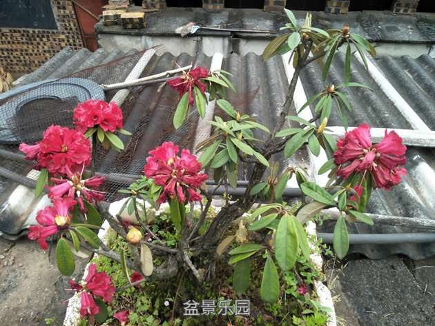 IMG20170421142423.jpg