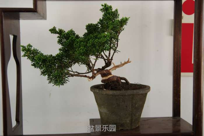 180349n2z73ml083h6jhkm.jpg
