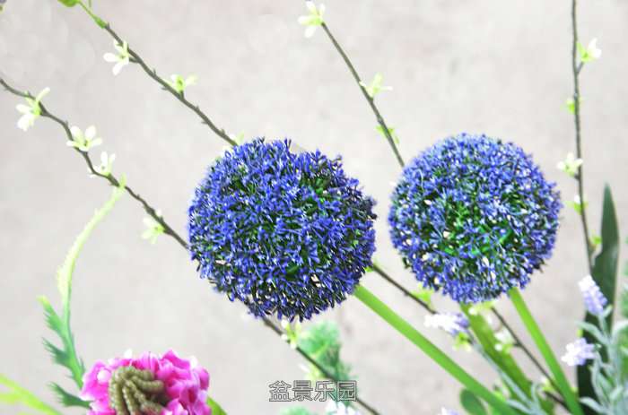 124953a82inaf21022q8n2.jpg