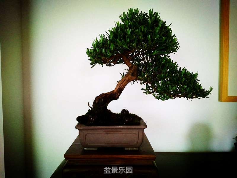 162802eiyz1870bvd80ifi.jpg