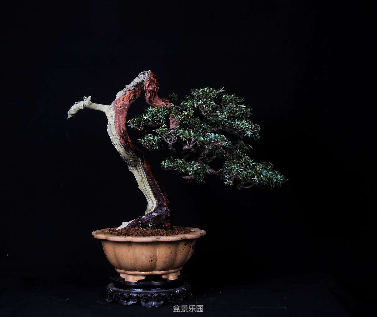 220310pyimpes2pho1nidy.jpg