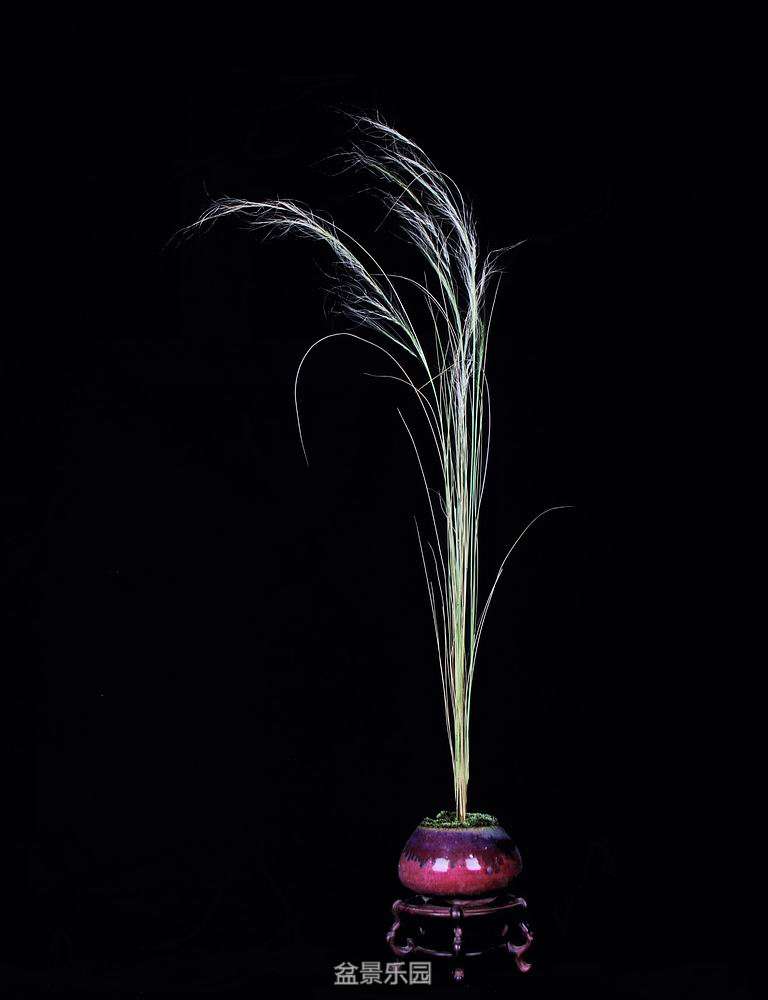230248j099ywckclmlalem.jpg