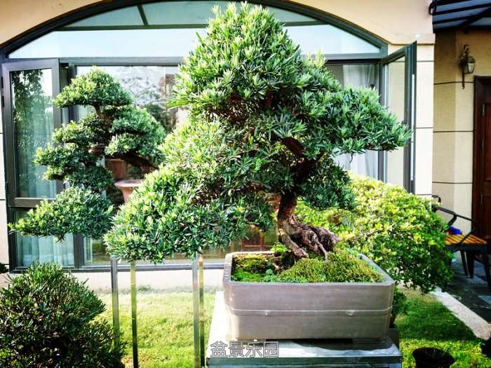 ��Ƭ 065_����.jpg