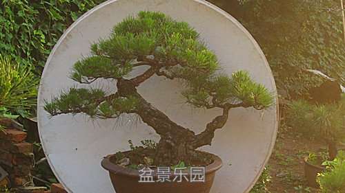 IMG_9284_.jpg