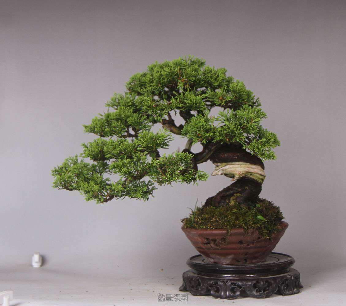 000540g5lb0cuqb7flc3bf.jpg