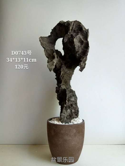 d0743.jpg