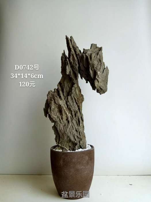 d0742.jpg