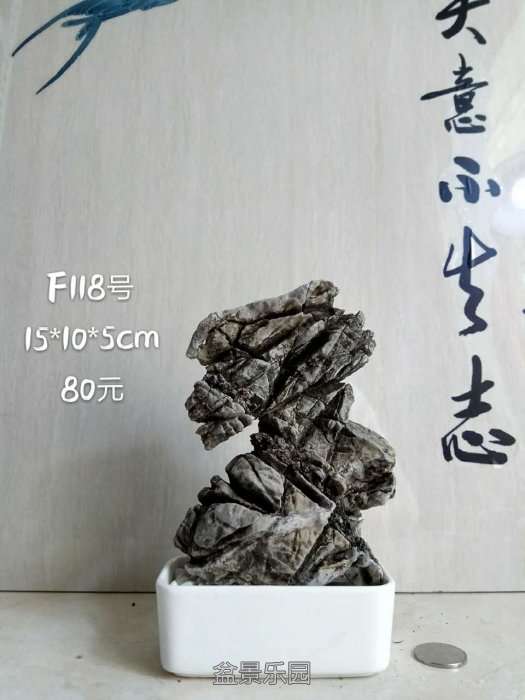 f118.jpg