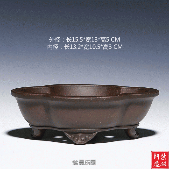 1.gif