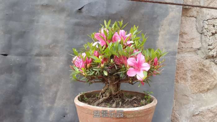 20170530_150913_.jpg
