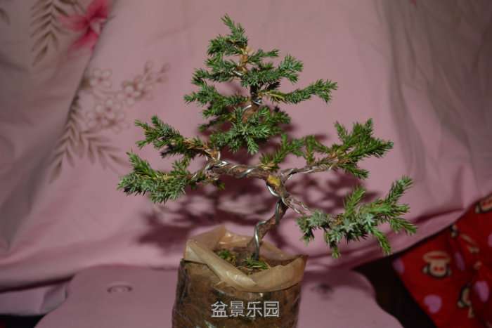 210203fwjhab5zh2i5ax2h.jpg